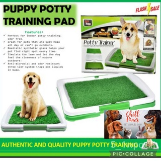 【CHILL PAWS PET】Puppy Potty Pad Training
