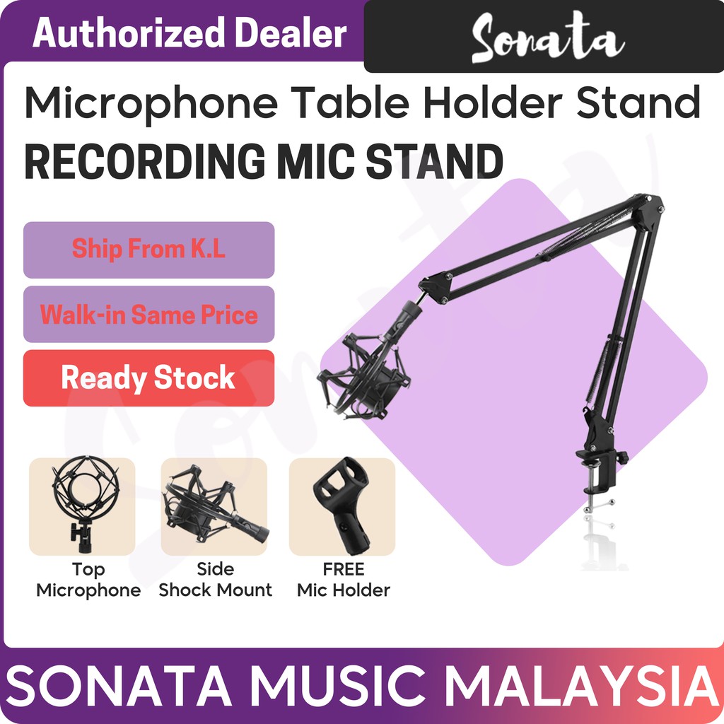 Professional Recording Microphone Stand with Mic Holder and Microphone