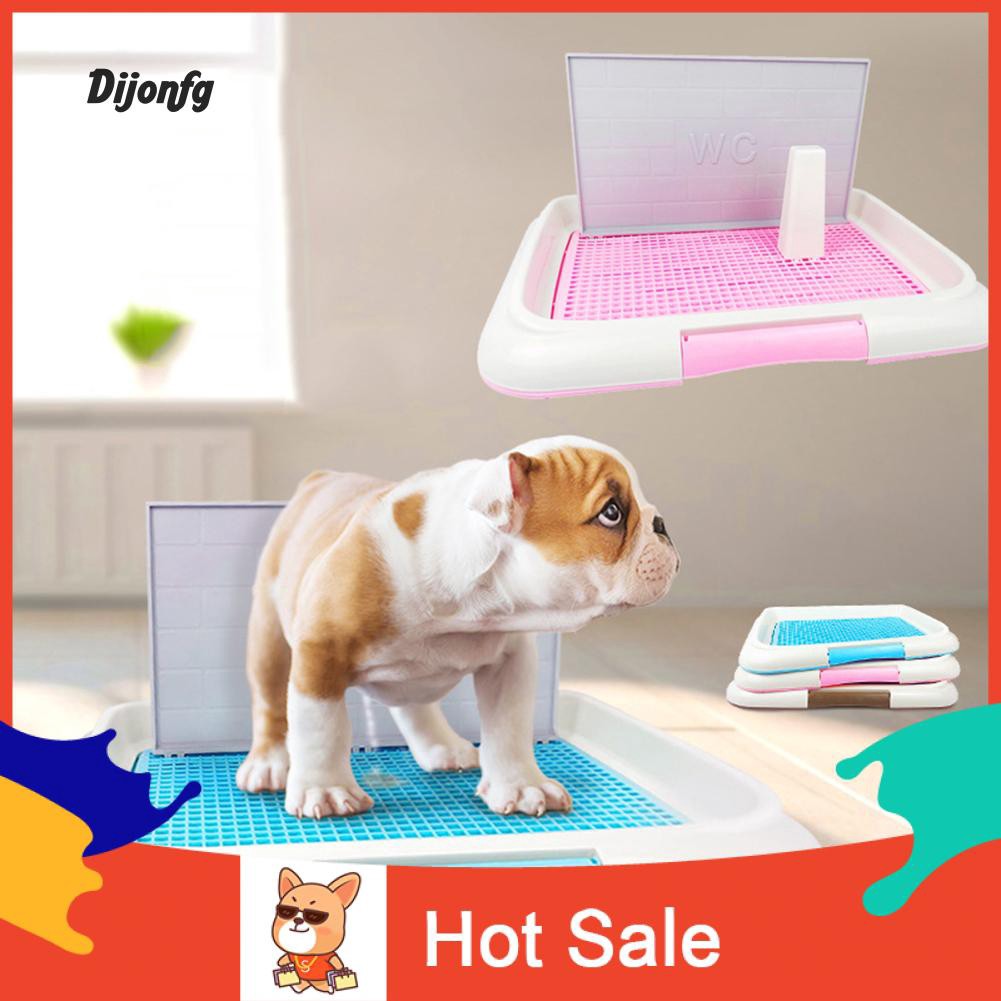 litter box trained dogs for sale