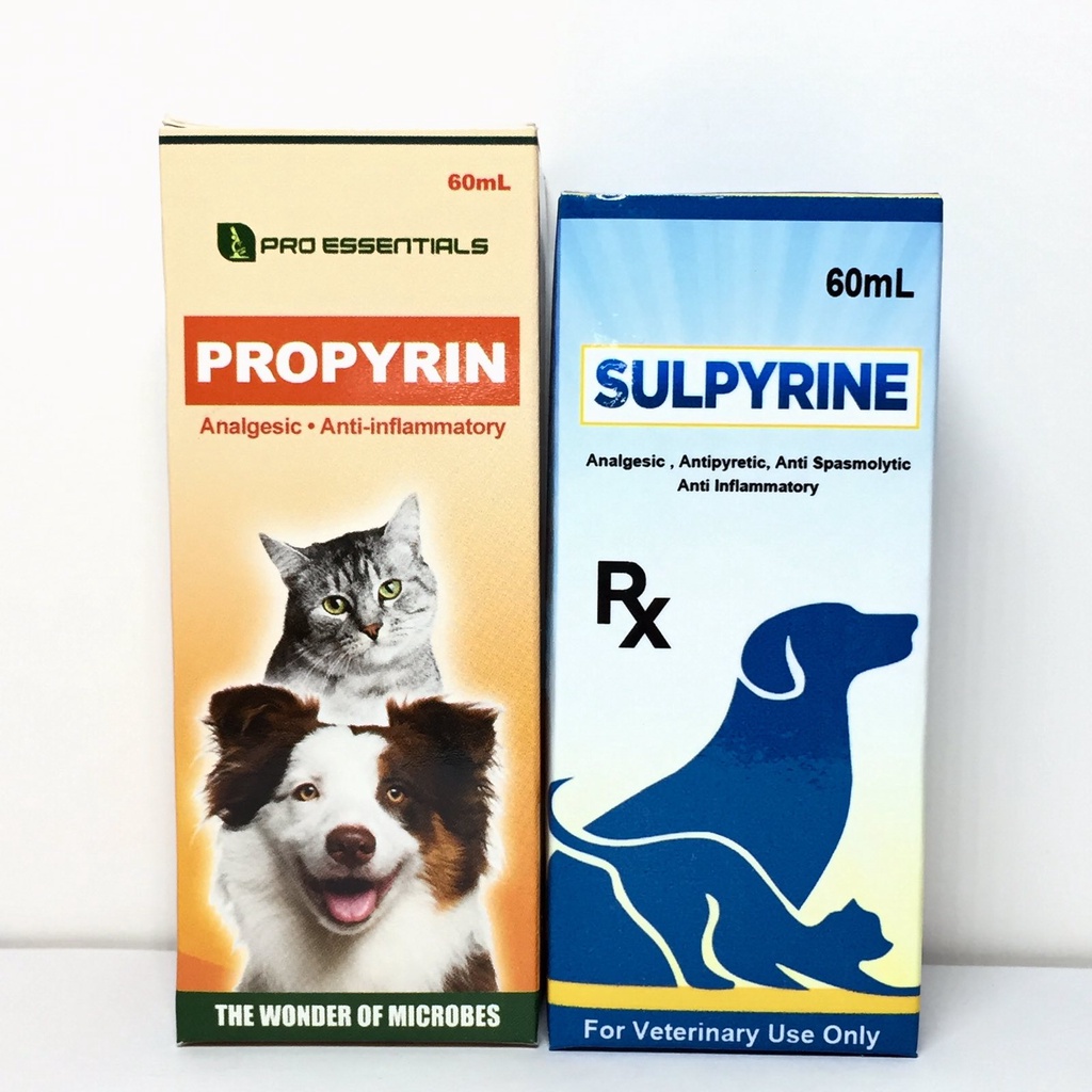 Which Medicine Is Best For Dog Fever