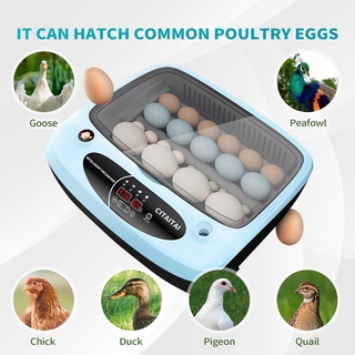 Automatic Incubator 15 Eggs Incubator Chicken Goose Duck Quail Pigeon Poultry Brooder Automatically