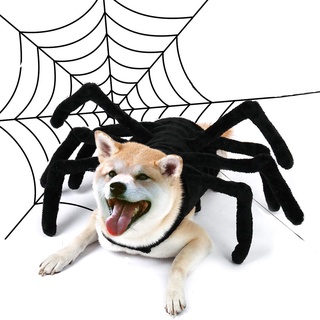 Pet Halloween Funny Spider Chest Back Creative Cat Dog Small Dog Transformation Costume