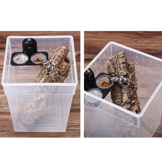 Hellery☃ Dual Reptile Feeding Bowl Screw Food & Water Dish For Gecko, Lizard, etc