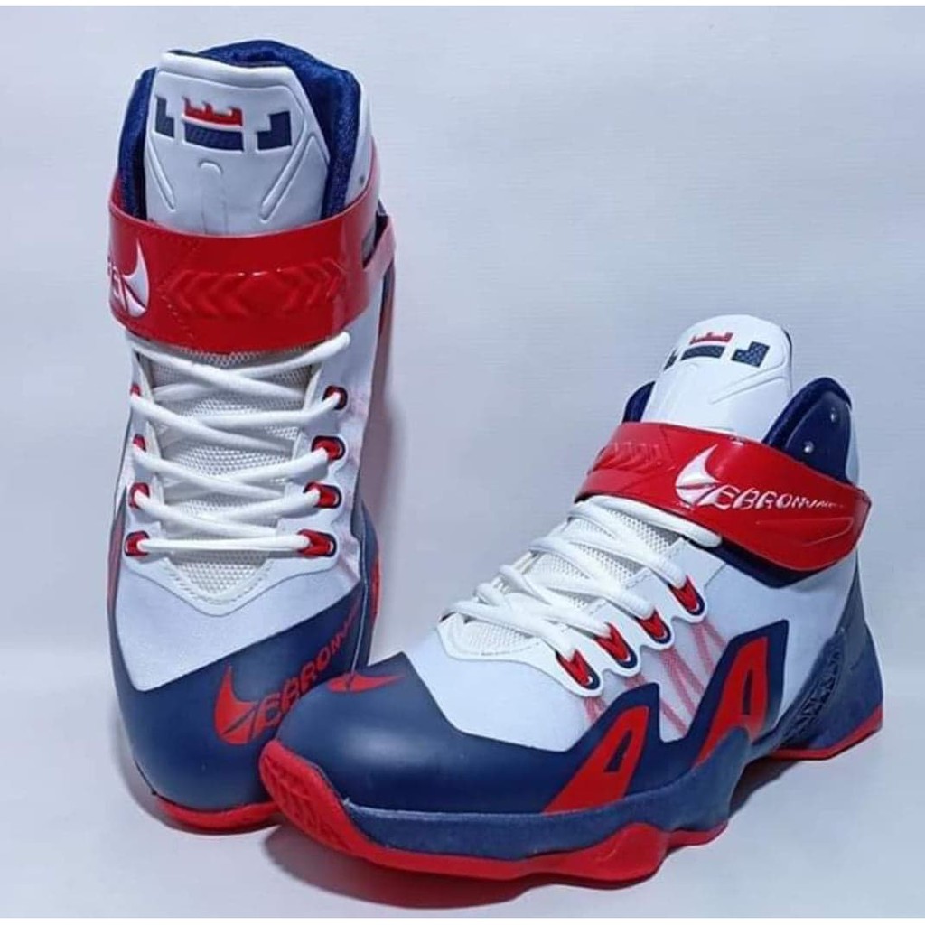 lebron shoe brand