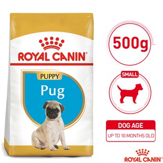 Royal Canin Pug Junior Puppy 500g   Breed Health Nutrition