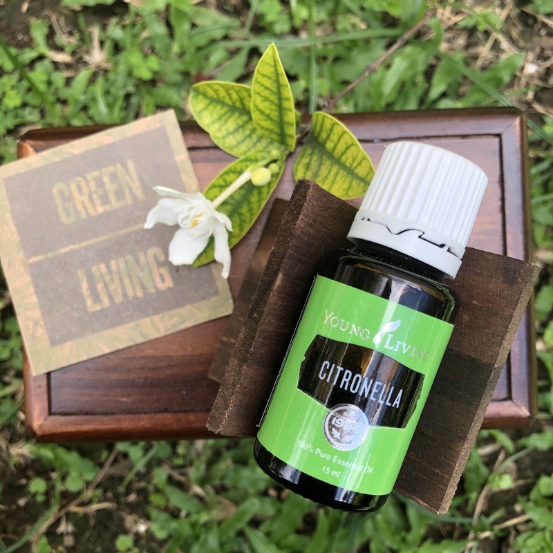 Young Living Citronella Oil 15ml Shopee Philippines
