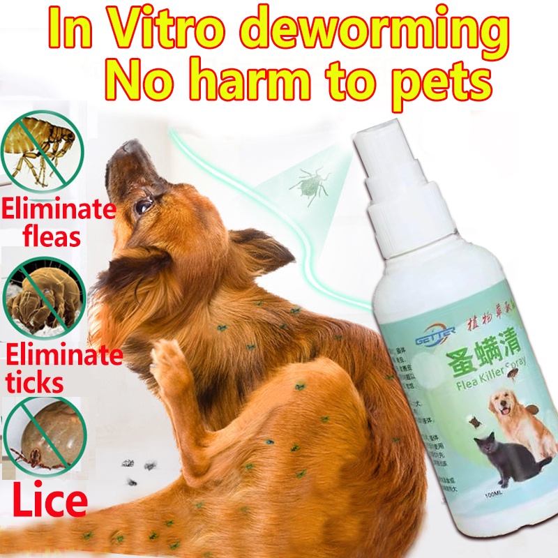 tick and flea spray100ml cat lice remover Dog spray for ticks and fleas