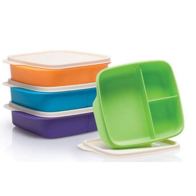 Neon divided lunch box divided bento food storage | Shopee Philippines