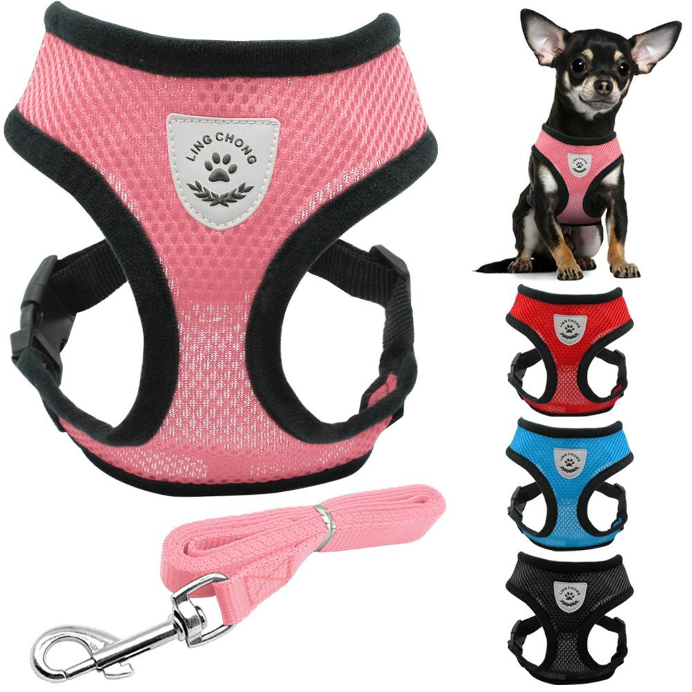 dog collar leash harness set