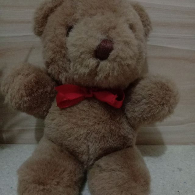 teddy bear with red ribbon