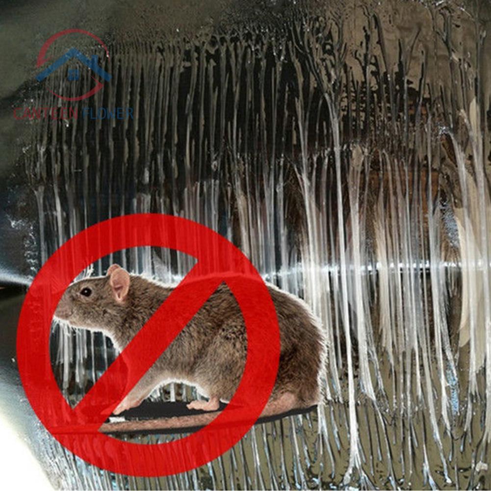 mouse glue traps effectiveness