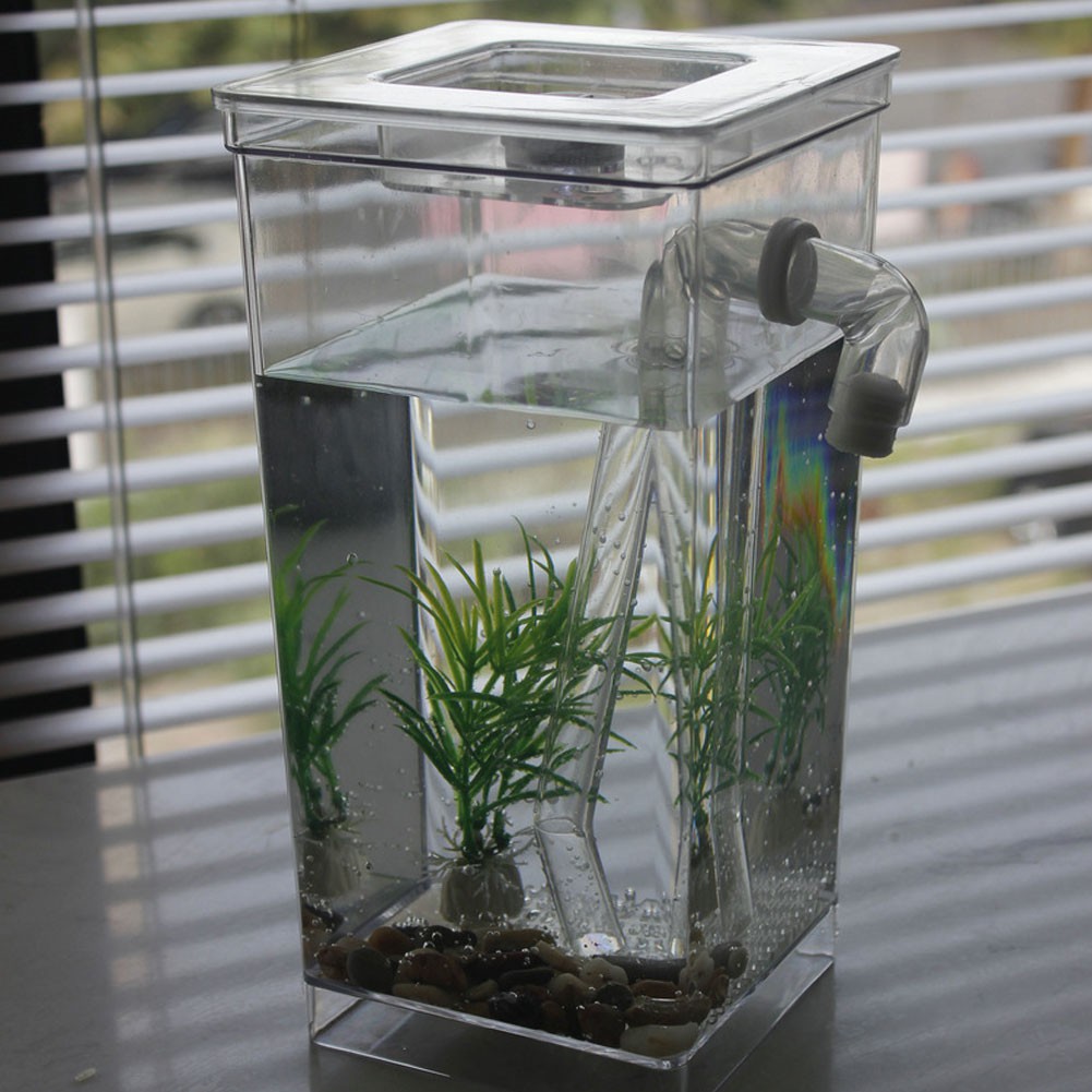 mini desktop fish tank