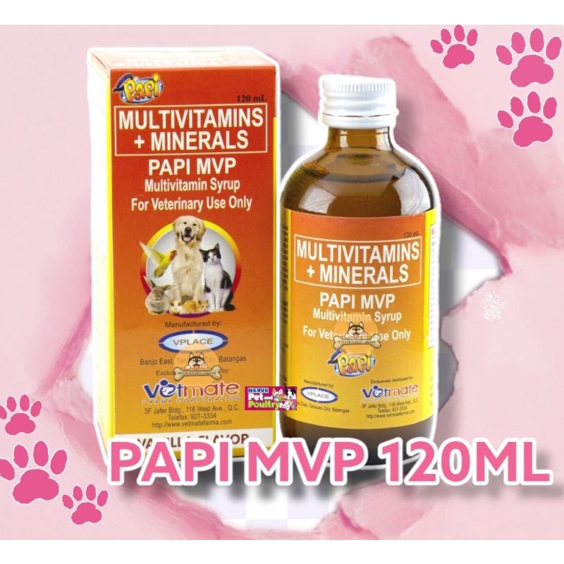 Papi Mvp Multivitamin Syrup 120ml Shopee Philippines