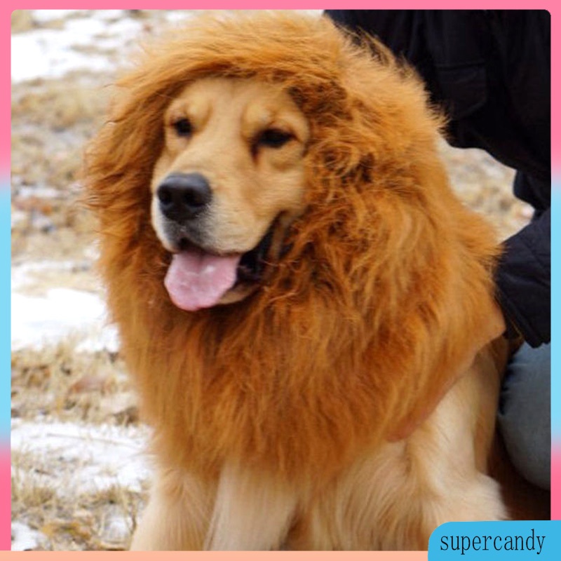Lion Mane Wig with Ears for Large Dog Halloween Clothes Fancy Dress Up Pet Costume Supplies With E #4