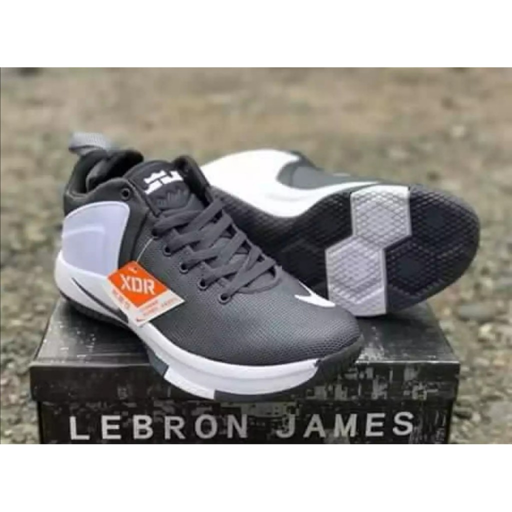 lebron witness 2 basketball shoes