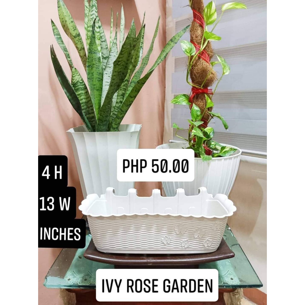 Vertical Hanging Pot Plant Box by Ivy Rose Garden Shopee Philippines