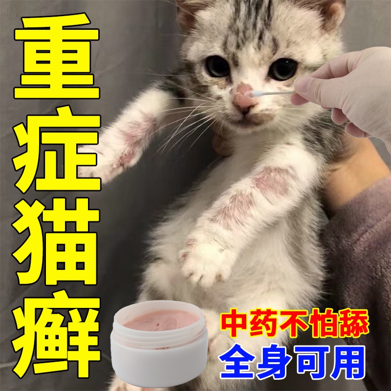 Treatment of Cat Skin Disease Fungal Infection Cat Ringworm Cat Moss ...