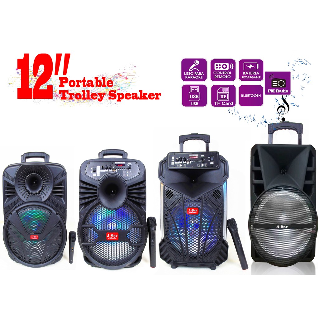 portable speaker with trolley