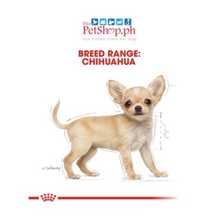 ♙Royal Canin Chihuahua Puppy 1.5kg Dry Dog Food Breed Health Nutrition