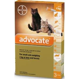 advocate feline