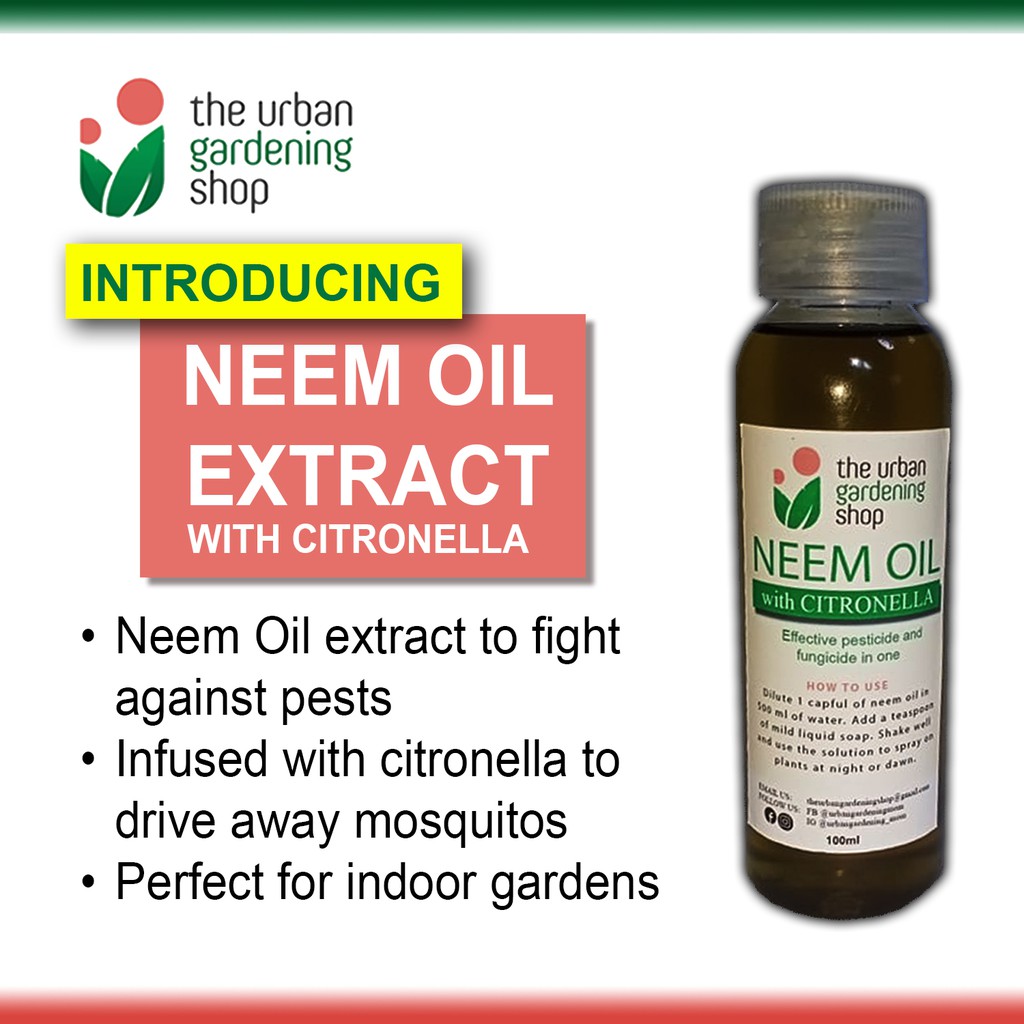 Citronella-infused NEEM OIL EXTRACT for Gardening Purposes/ THE URBAN ...