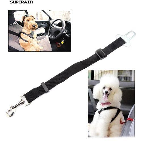 seat belt dog collar