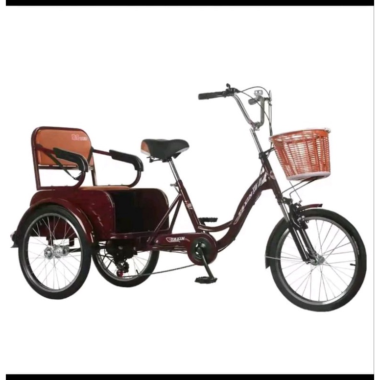 High quality Bri Cargo Tribike with basket | Shopee Philippines