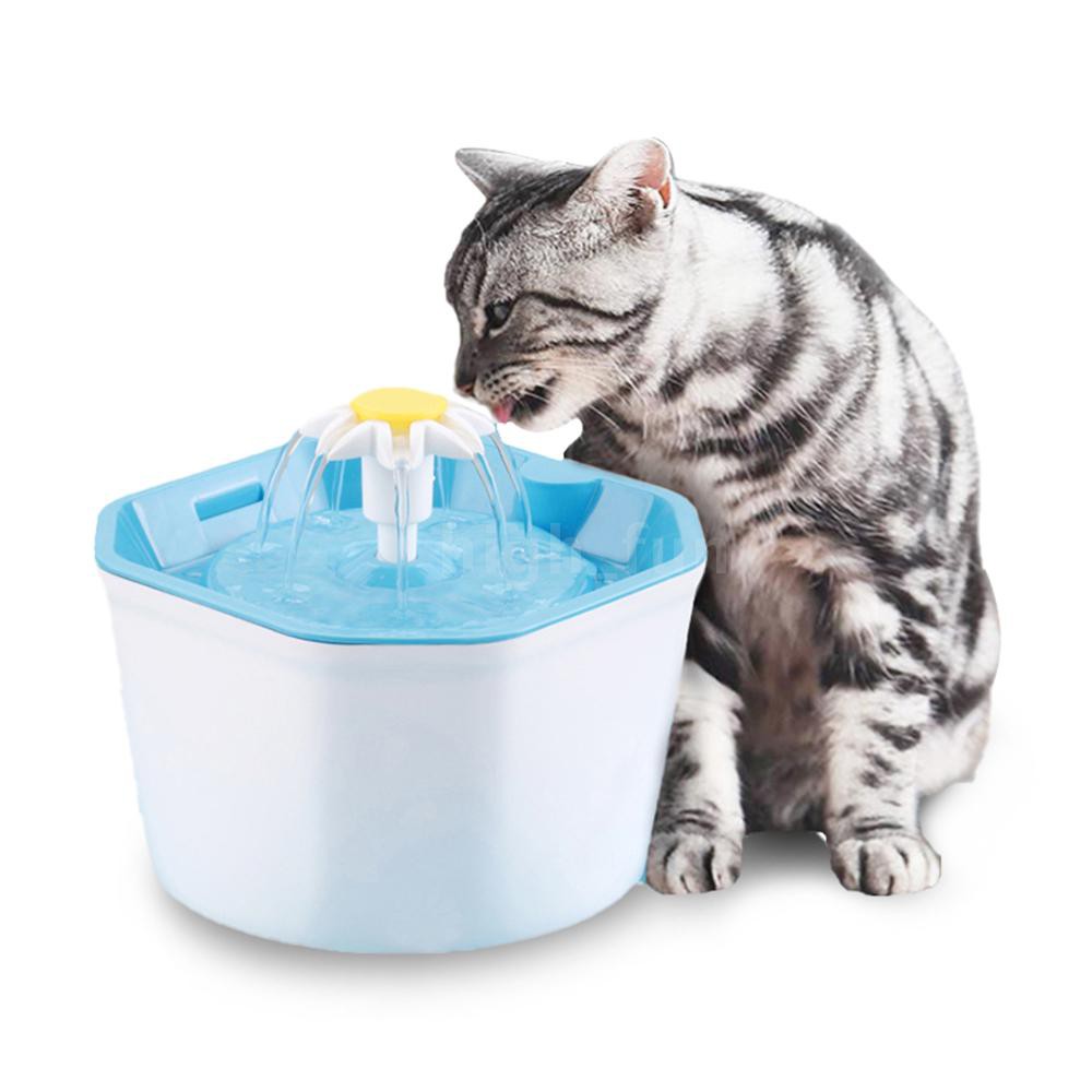 electric automatic cat feeder