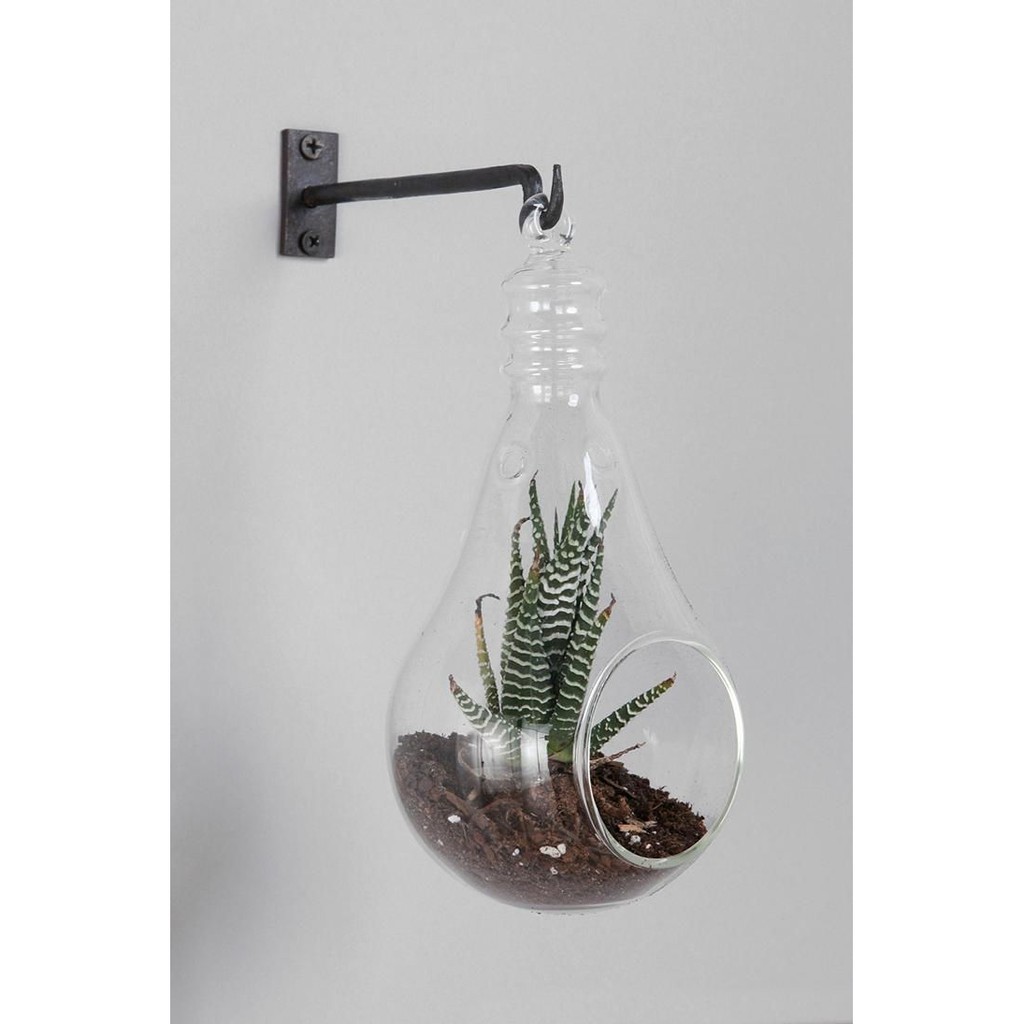 Light Bulb Clear Glass Terrarium Vase Candle Holder (10x18cm) Shopee