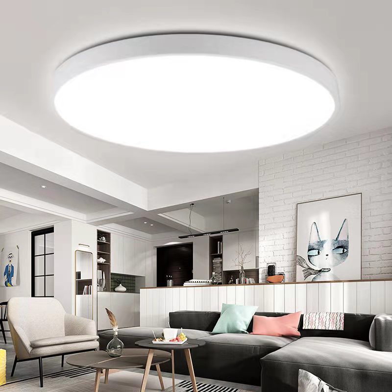 LED living room lamp 18W-30CM 24W-40CM bedroom lamp dining hall aisle corridor ceiling lamp monochro