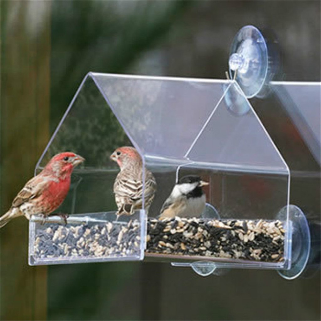 Window Bird Feeders Glass Viewing Feed Hotel Hanging Suction