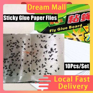 10PCS Fly Bug Mosquito Killer Insects Pest Catcher Fly Trap Sticker Board 