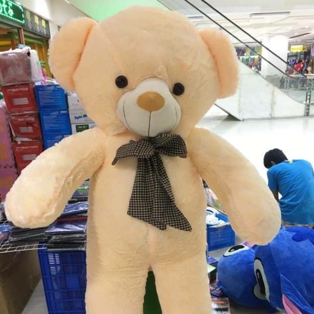 teddy bear shopee