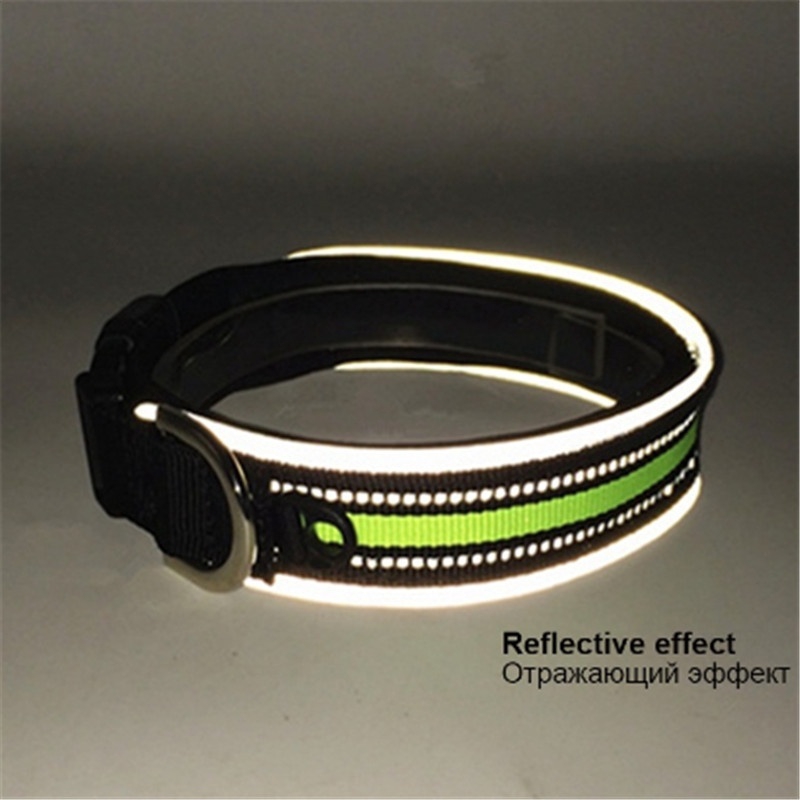 outdoor dog collars