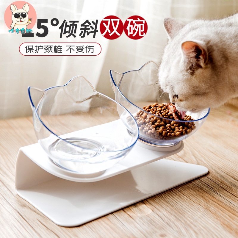 food bowl cat