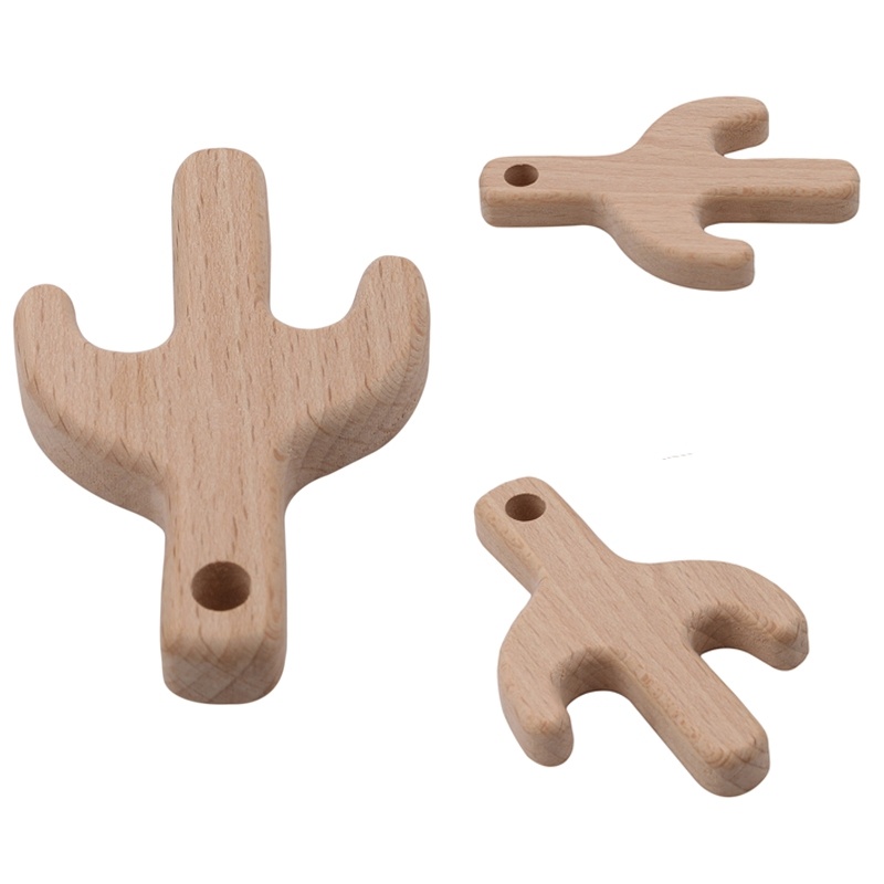 cactus teether