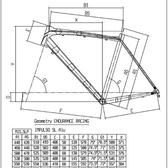 bianchi impulso size guide