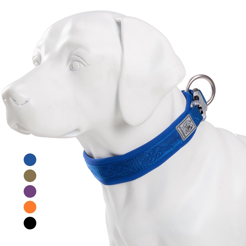 rubber plant and dogs