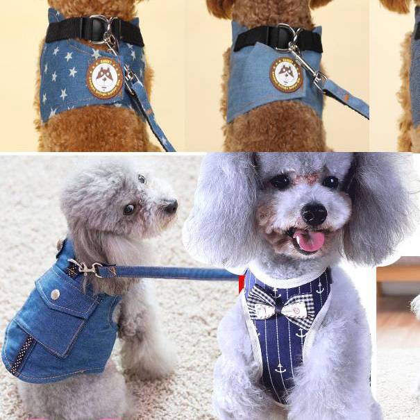 rope dog harness