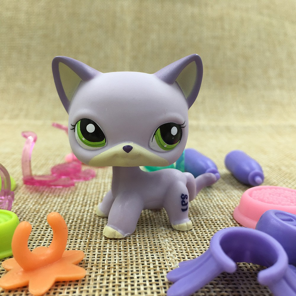 cat birthday toys