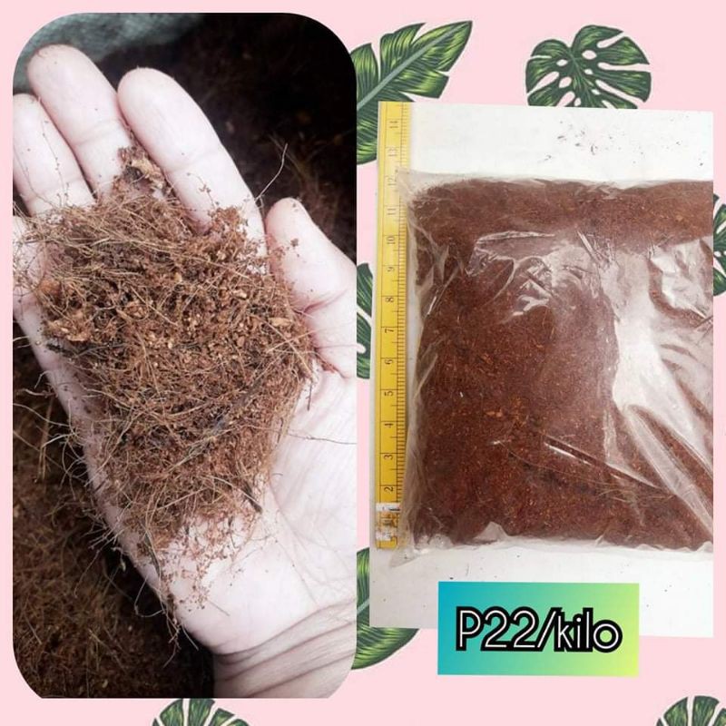 Coco peat for plants 1kg Shopee Philippines