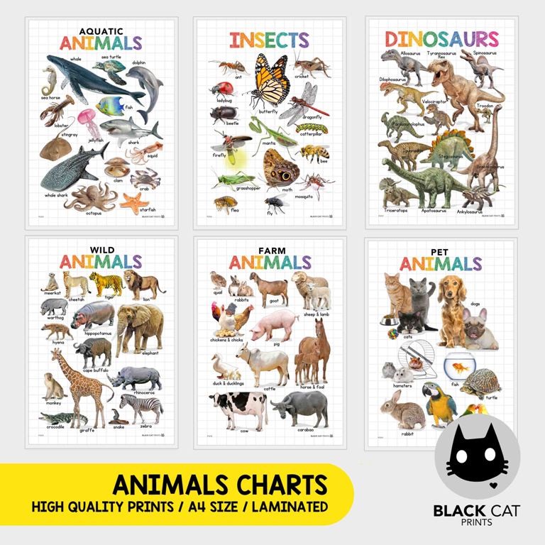 Animals Educational Chart Poster (High Quality Print / A4 Size