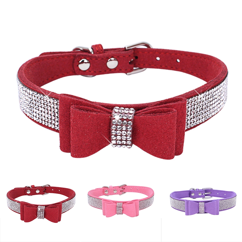 fashion dog collar