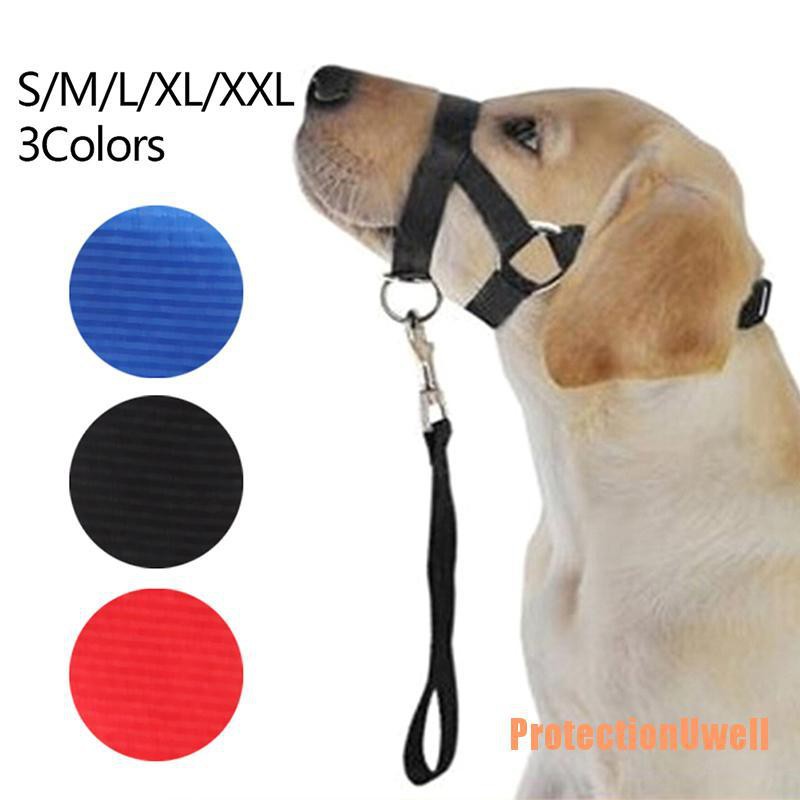 dog muzzle strap