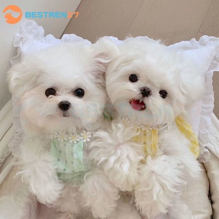 Korea ins|Summer Fresh Plaid Pet Skirt Cat Dog Thin Breathable Spring Summer Clothes Teddy Bichon Suit