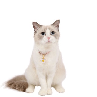 ✙☼▤Pet Collar Dog Collar Adjustable Cat Dog Rabbit Deworming Collar With Bell Cat Collar Cat Accesso