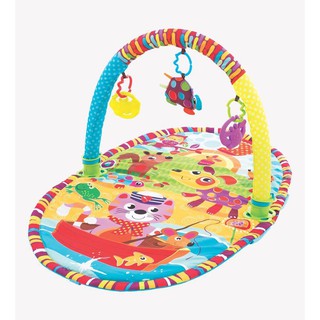 playgro activity tunnel gym