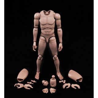 1/6 Wolverine Muscular Body Action Figure 12" Male Body  Model Figur Körper 