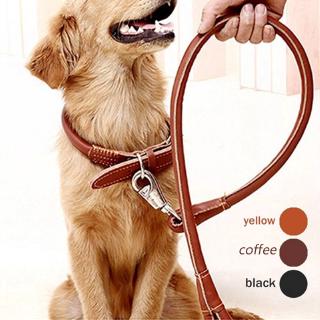 leather dog leads