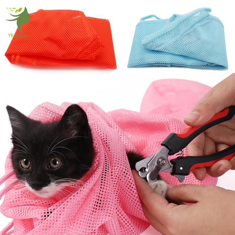 creative cat grooming